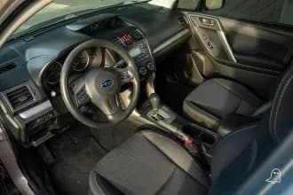 Forester 13