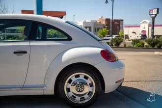 Beetle 10
